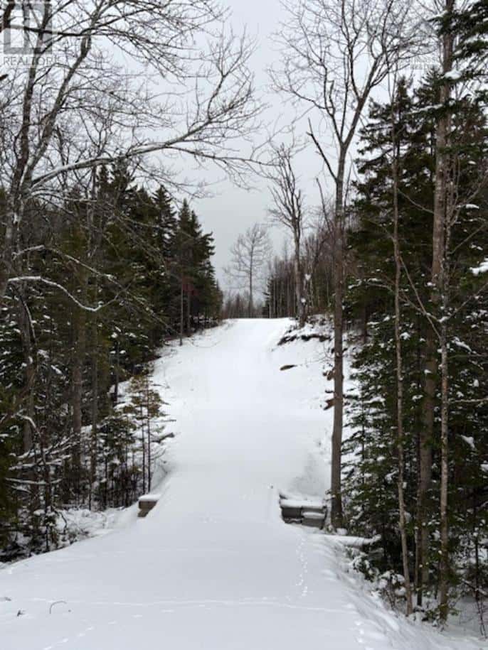 Lot Chipman Brook — Chipman Brook, Nova Scotia - Photo 2 of 3