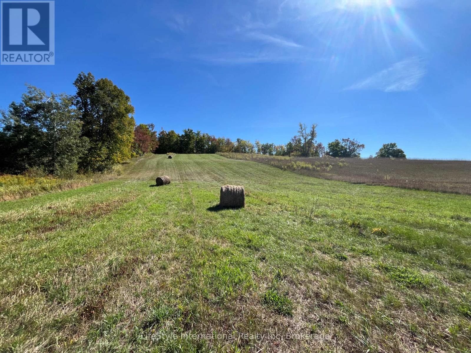 213 VANSICKLE ROAD — Havelock-Belmont-Methuen (Belmont-Methuen), Ontario - Main photo