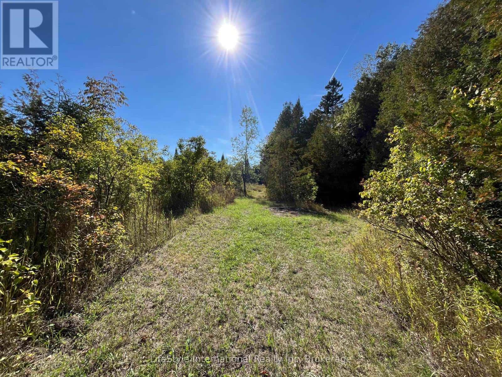 213 VANSICKLE ROAD — Havelock-Belmont-Methuen (Belmont-Methuen), Ontario - Photo 3 of 24