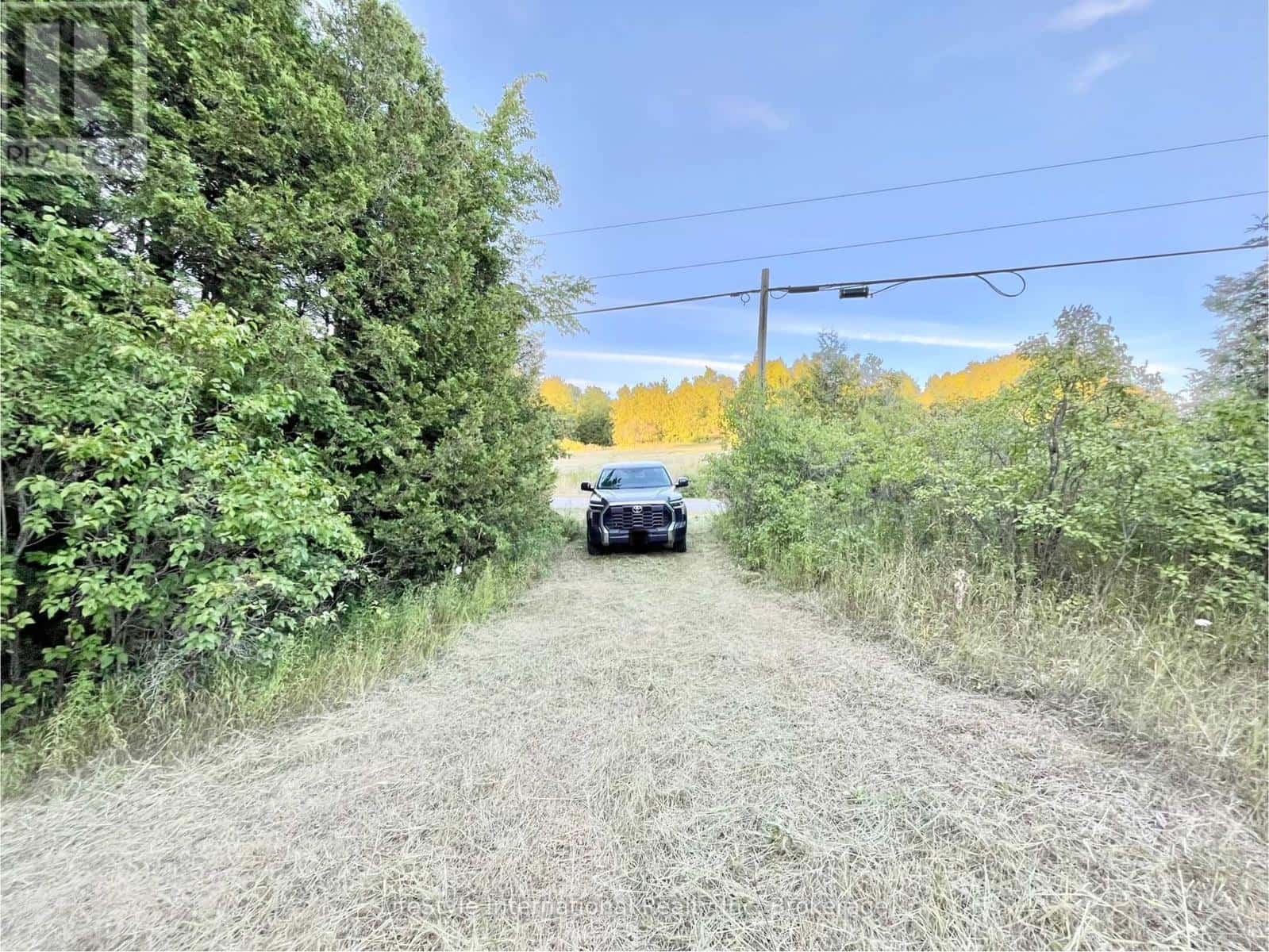 213 VANSICKLE ROAD — Havelock-Belmont-Methuen (Belmont-Methuen), Ontario - Photo 4 of 24