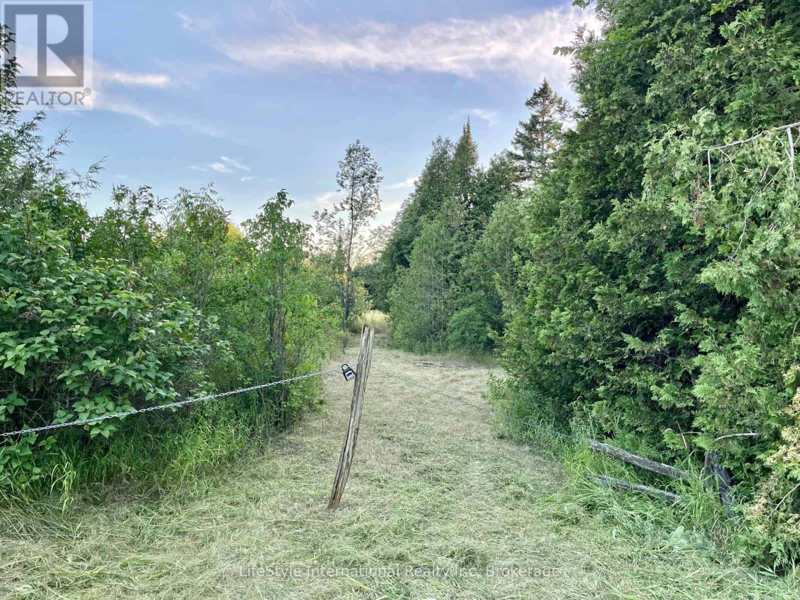 213 VANSICKLE ROAD — Havelock-Belmont-Methuen (Belmont-Methuen), Ontario - Photo 5 of 24