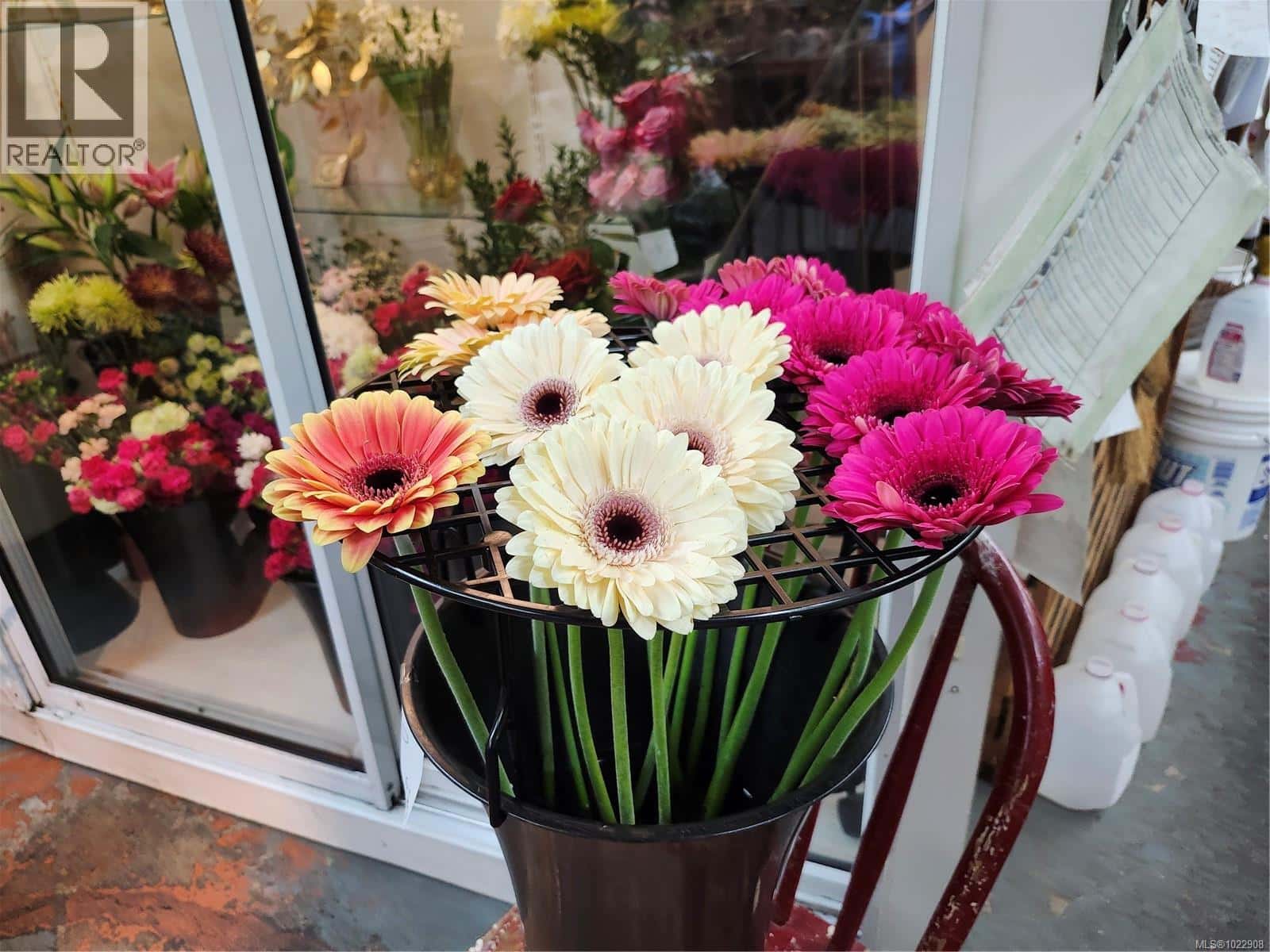 2 102 Island Hwy E — Parksville, British Columbia - Photo 2 of 16