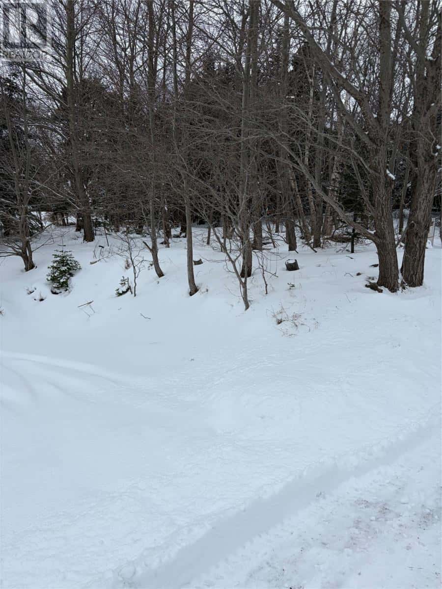 138 Memorial Drive — Clarenville, Newfoundland & Labrador - Photo 4 of 18