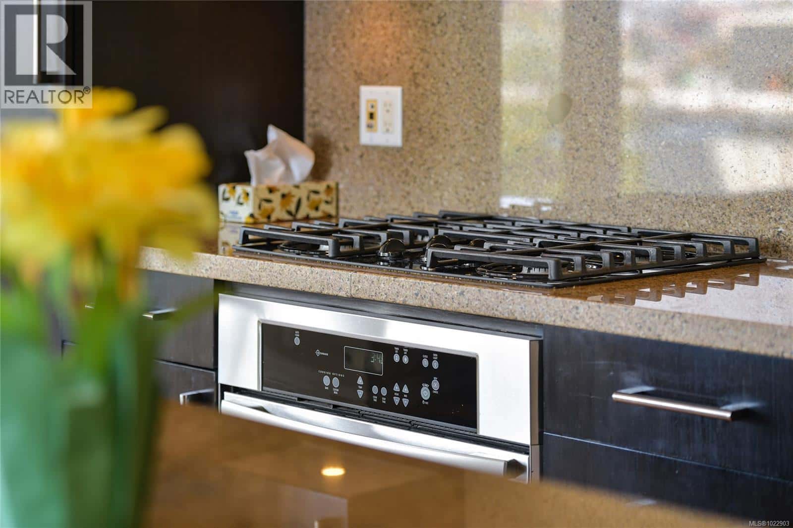 204 379 Tyee Rd — Victoria, British Columbia - Photo 5 of 33