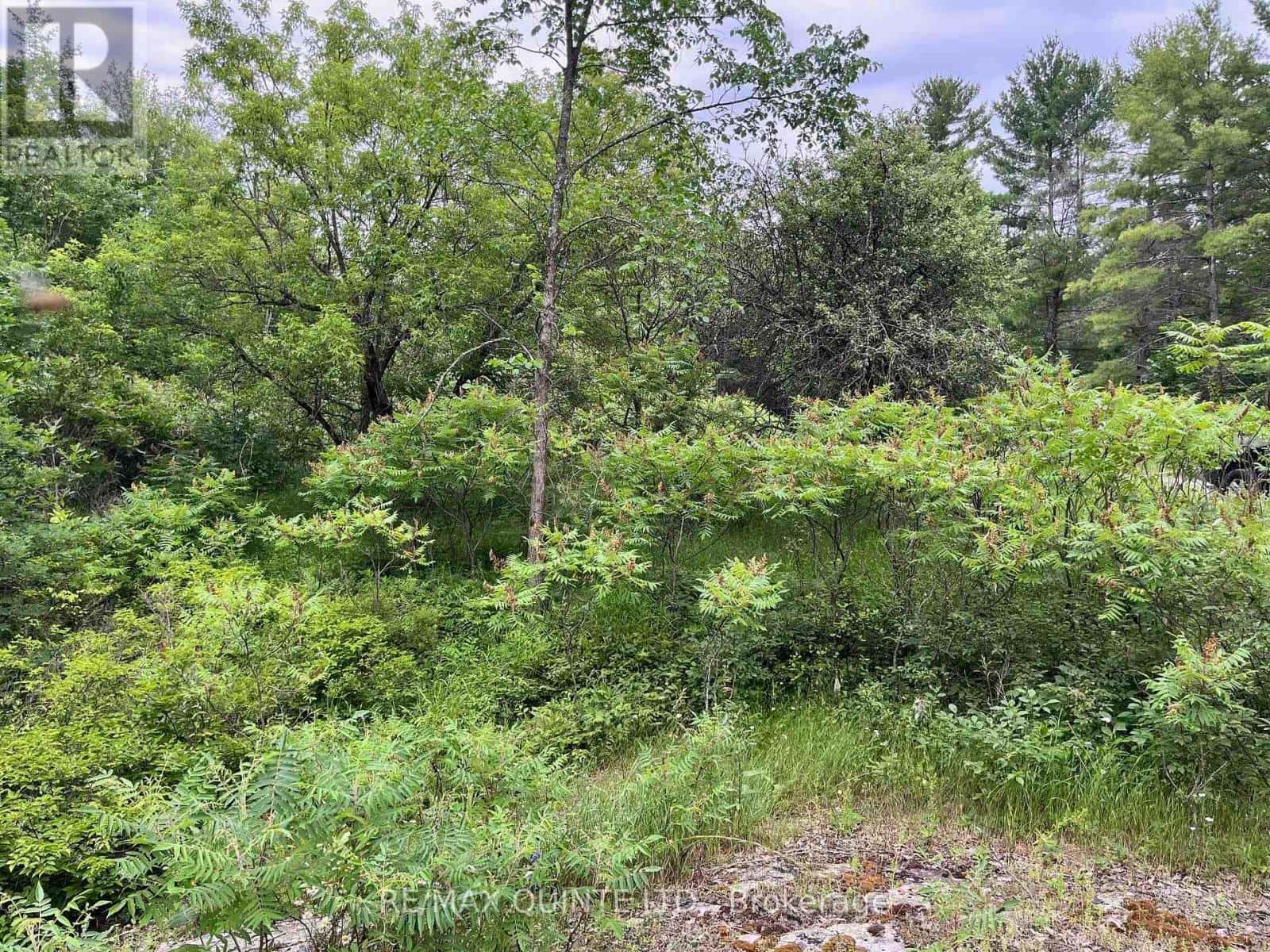 0 (PIN - 40264-0091) POTTER SETTLEMENT ROAD — Tweed (Hungerford (Twp)), Ontario - Photo 2 of 3