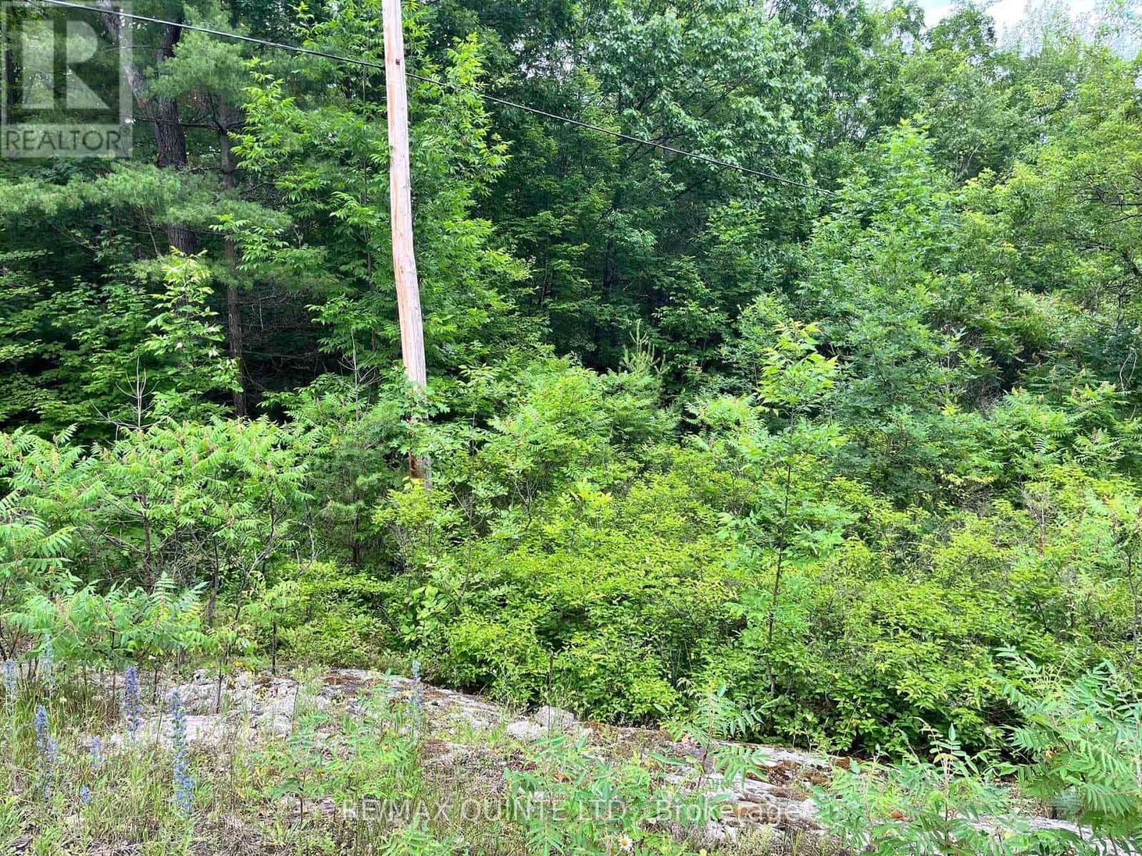 0 (PIN - 40264-0091) POTTER SETTLEMENT ROAD — Tweed (Hungerford (Twp)), Ontario - Photo 3 of 3