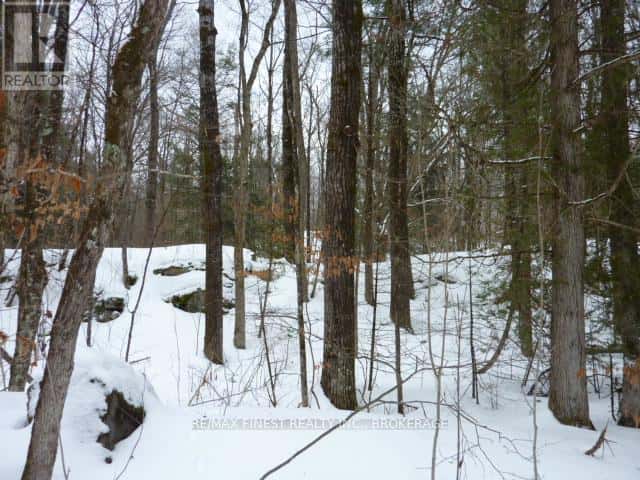 1265 WEST END LANE — Frontenac (Frontenac Centre), Ontario - Photo 4 of 9