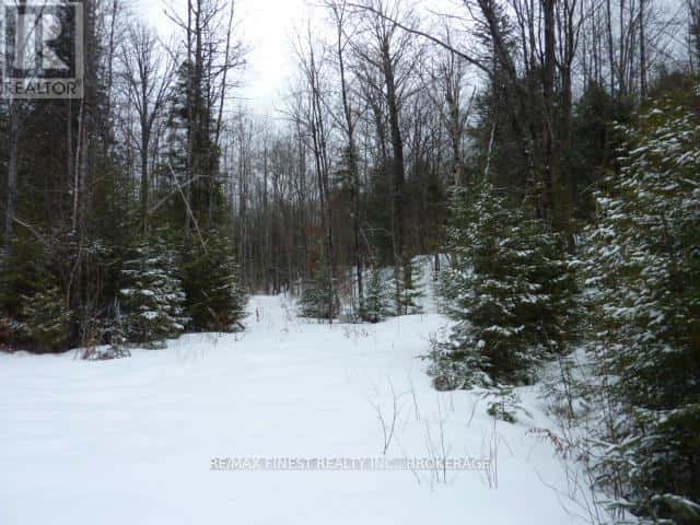 1265 WEST END LANE — Frontenac (Frontenac Centre), Ontario - Photo 5 of 9