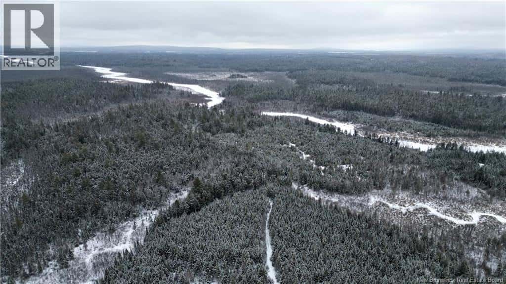 Vacant Lot Timberland — Dumfries, New Brunswick - Photo 4 of 24