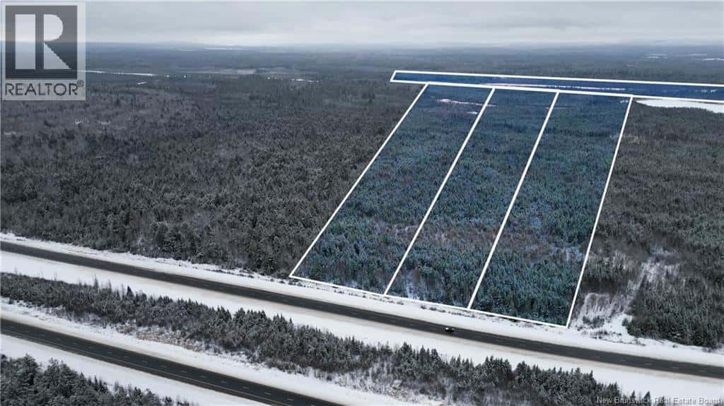 Vacant Lot Timberland