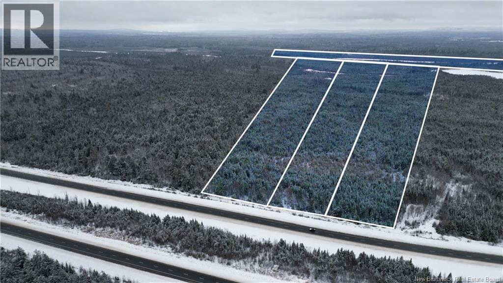 Vacant Lot Timberland — Dumfries, New Brunswick - Main photo