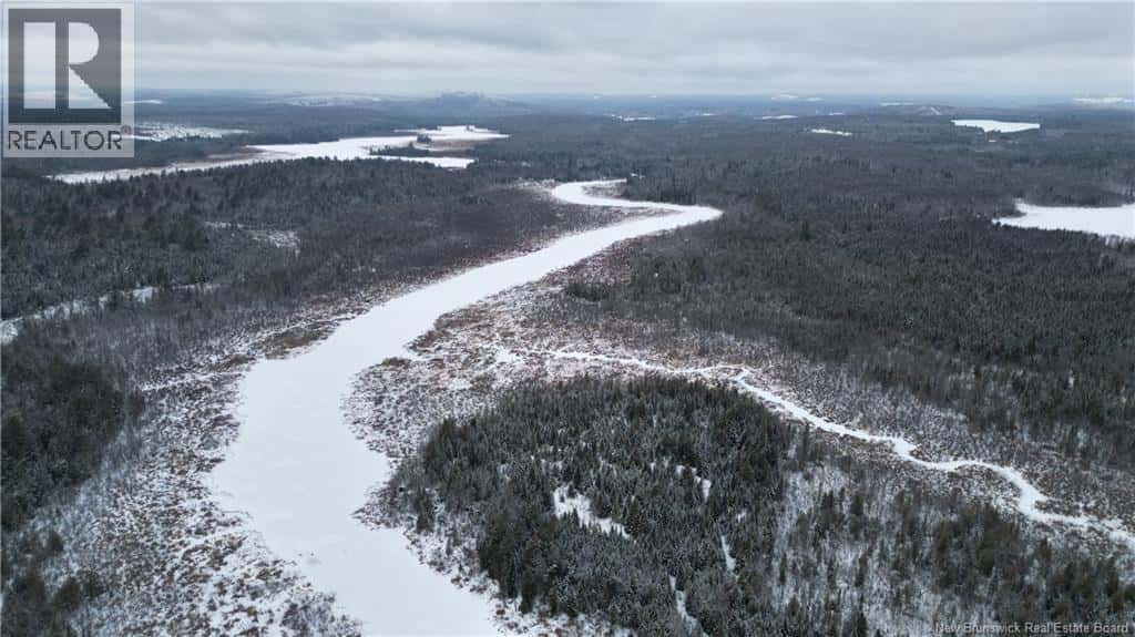 Vacant Lot Timberland — Dumfries, New Brunswick - Photo 5 of 24
