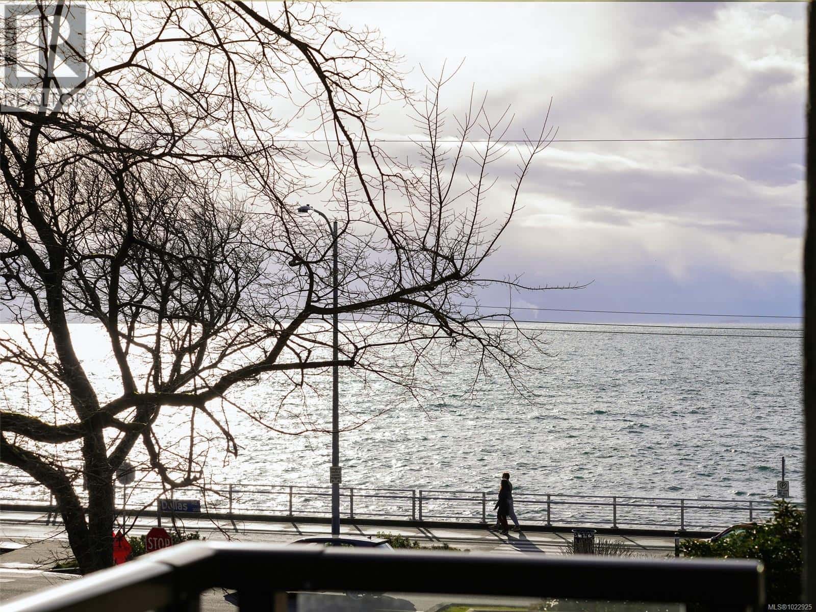 202 360 Dallas Rd — Victoria, British Columbia - Photo 3 of 33