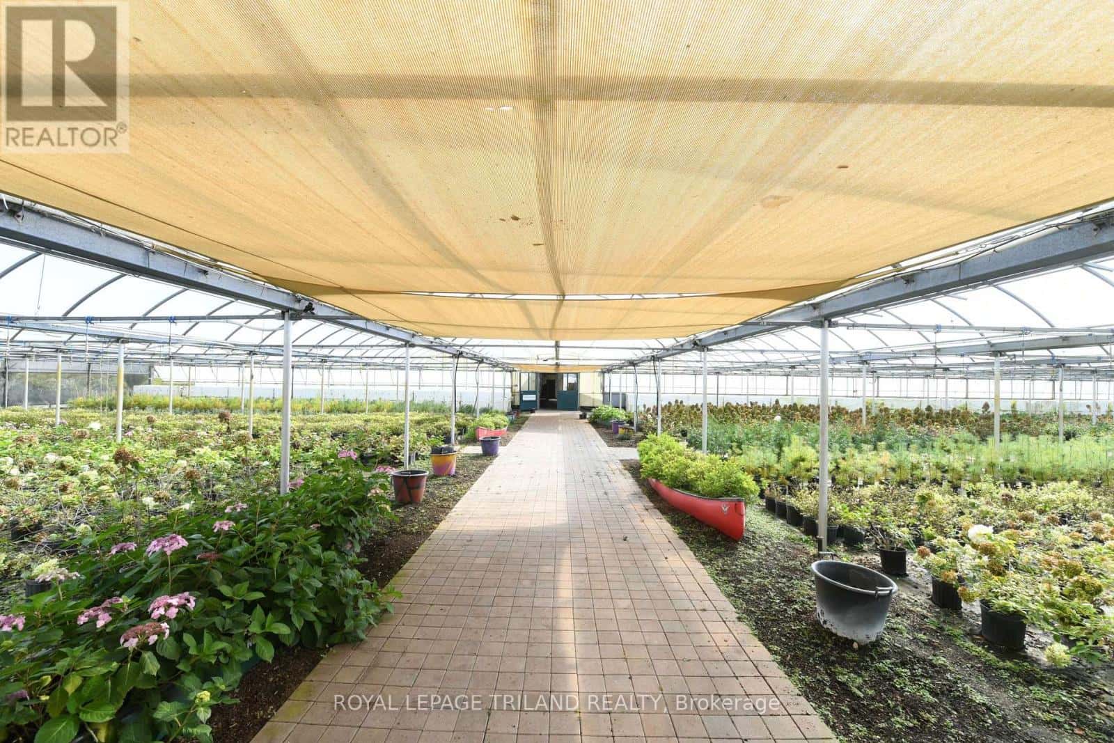 5101 DUNDAS STREET — Thames Centre, Ontario - Photo 5 of 25