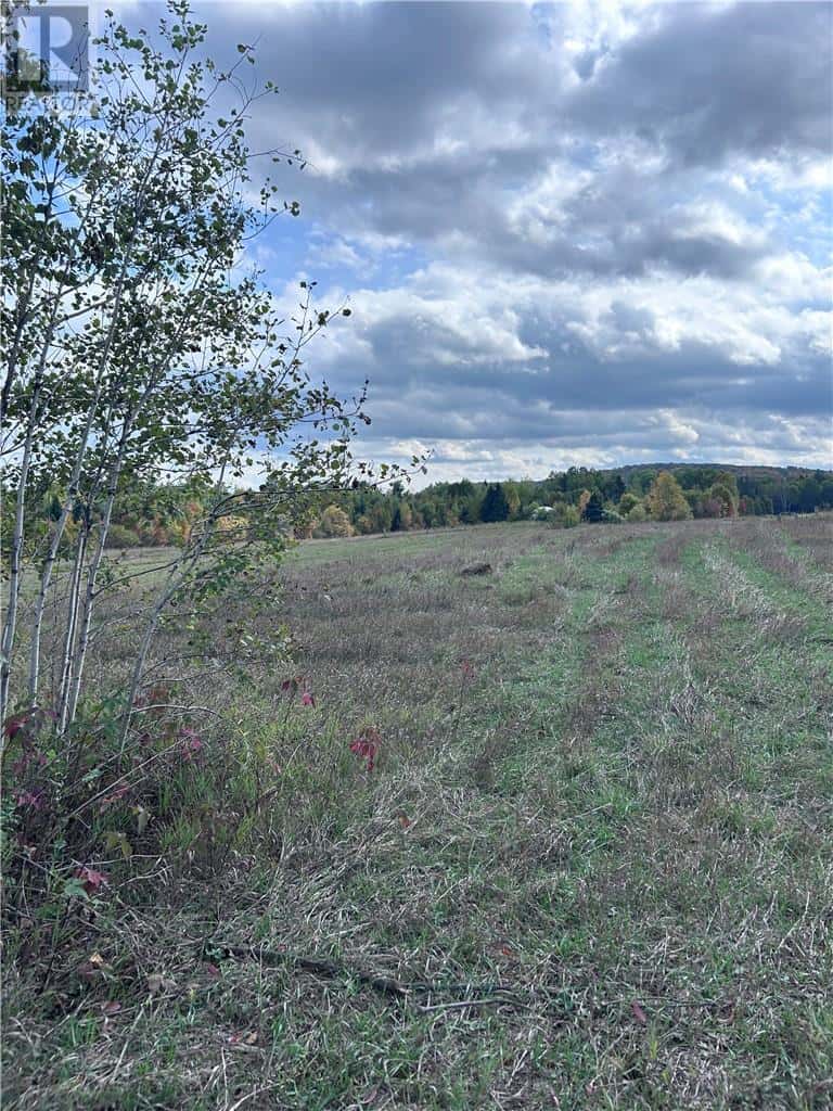 465 MALLARD LAKE Drive — N/A, Ontario - Photo 3 of 5