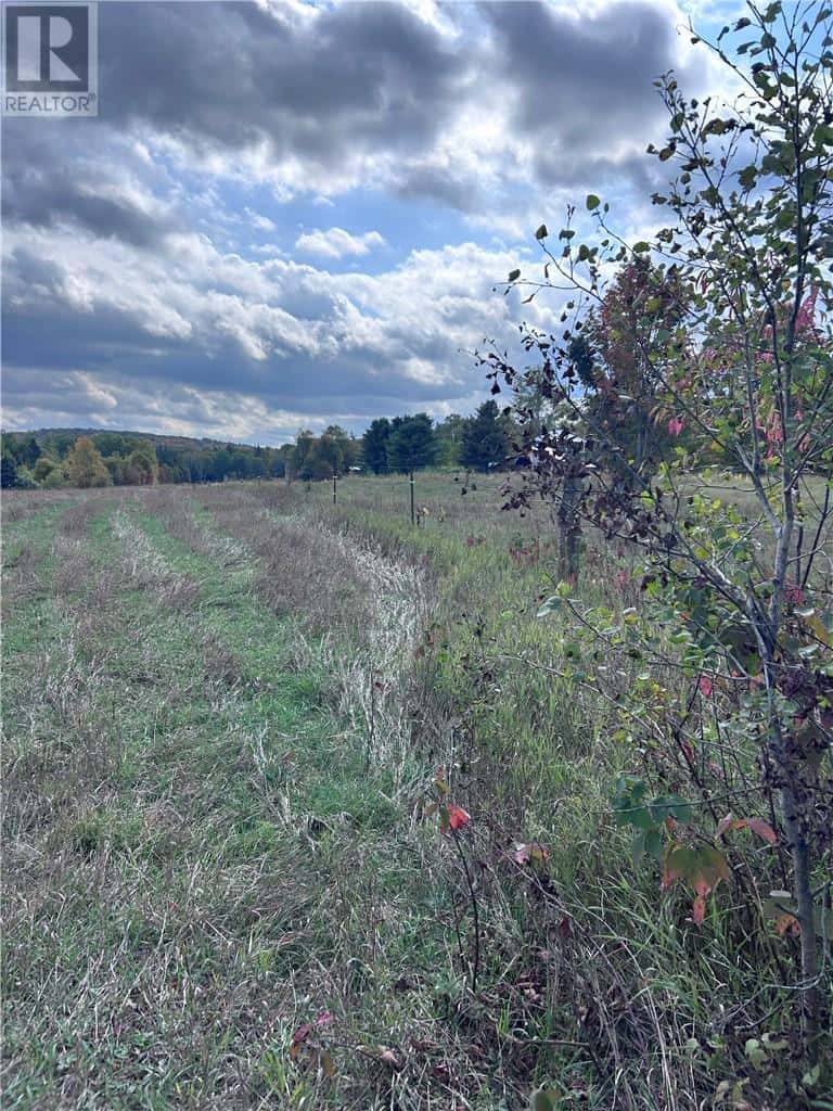 465 MALLARD LAKE Drive — N/A, Ontario - Photo 4 of 5