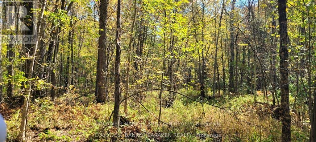 PT/LOT 21 CONCESSION 3 ROAD — Drummond/North Elmsley, Ontario - Photo 4 of 9