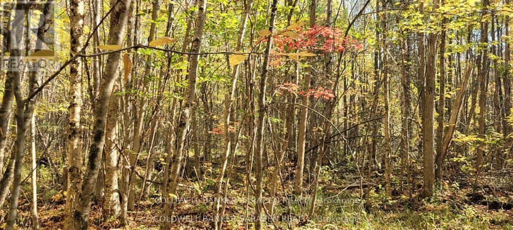 PT/LOT 21 CONCESSION 3 ROAD — Drummond/North Elmsley, Ontario - Photo 5 of 9