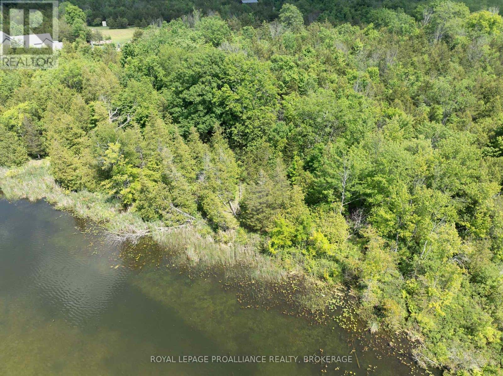 LOT 5 APPLEWOOD LANE — Frontenac (Frontenac South), Ontario - Photo 3 of 13