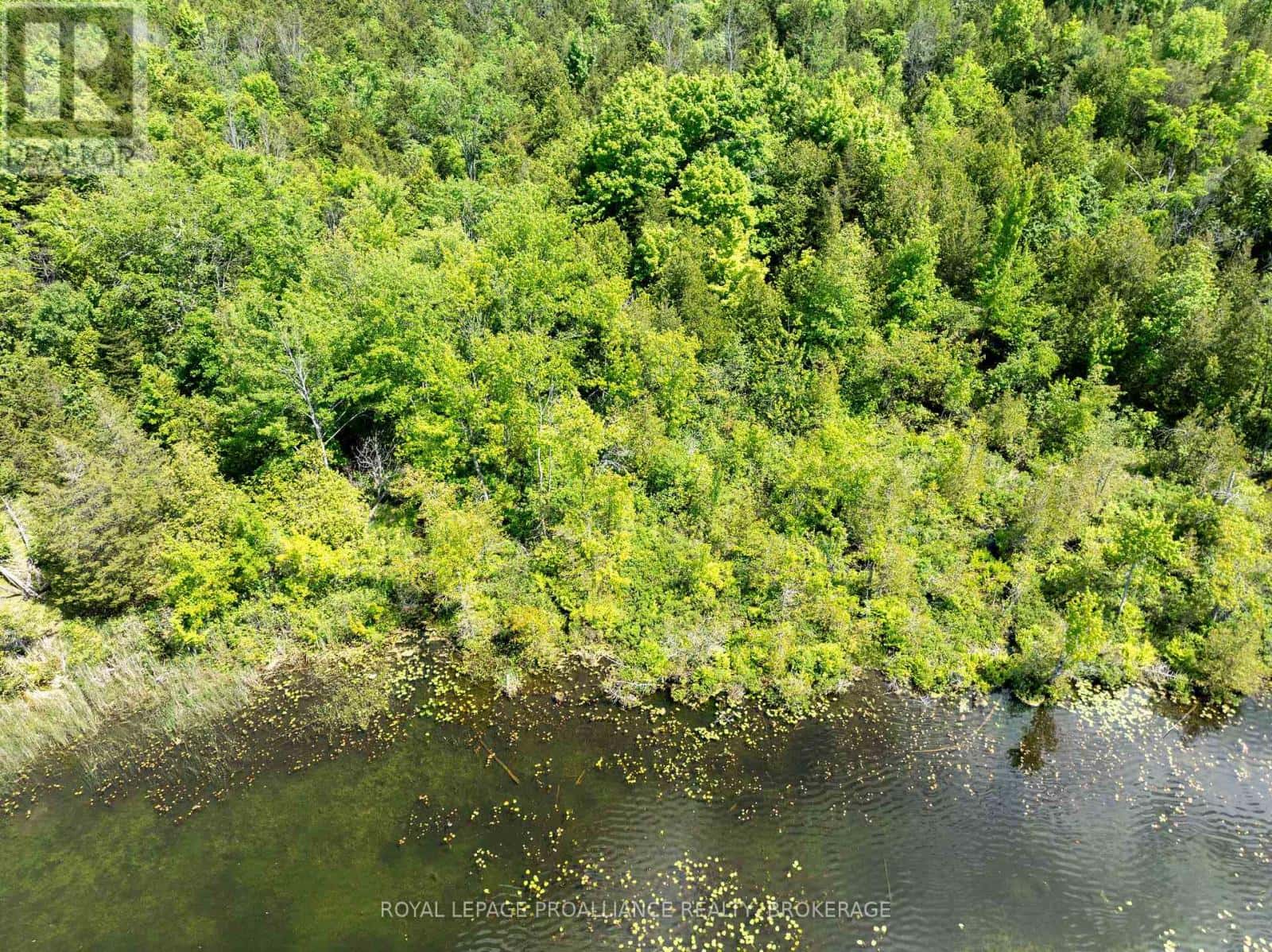 LOT 5 APPLEWOOD LANE — Frontenac (Frontenac South), Ontario - Photo 4 of 13