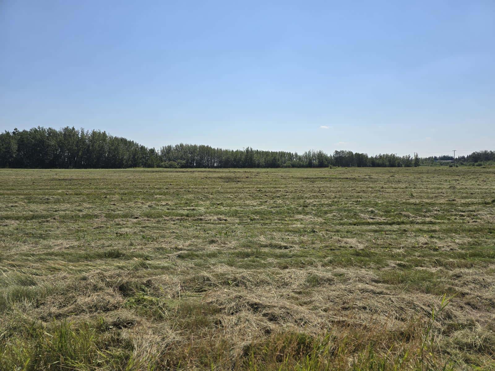 4520 49 Street — Redwater, Alberta - Photo 3 of 3