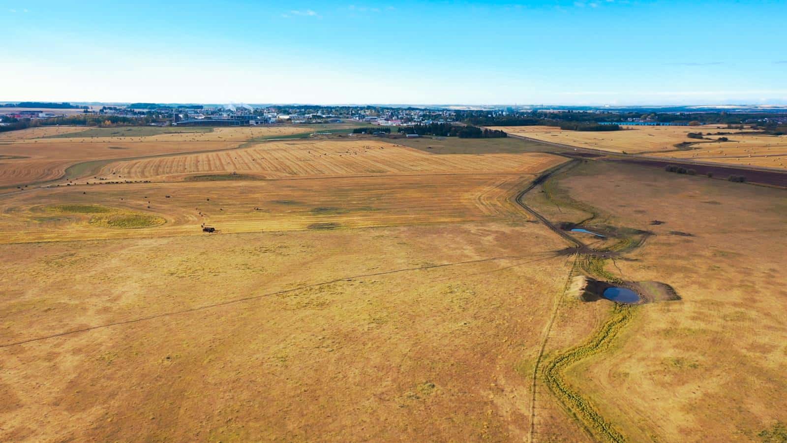 6360 C & E Trail — Innisfail, Alberta - Photo 5 of 9