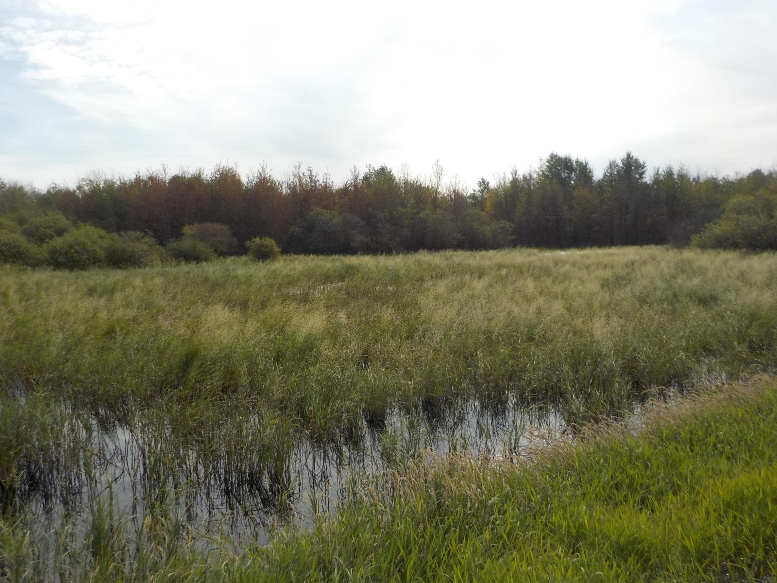 44 Street — Redwater, Alberta - Main photo