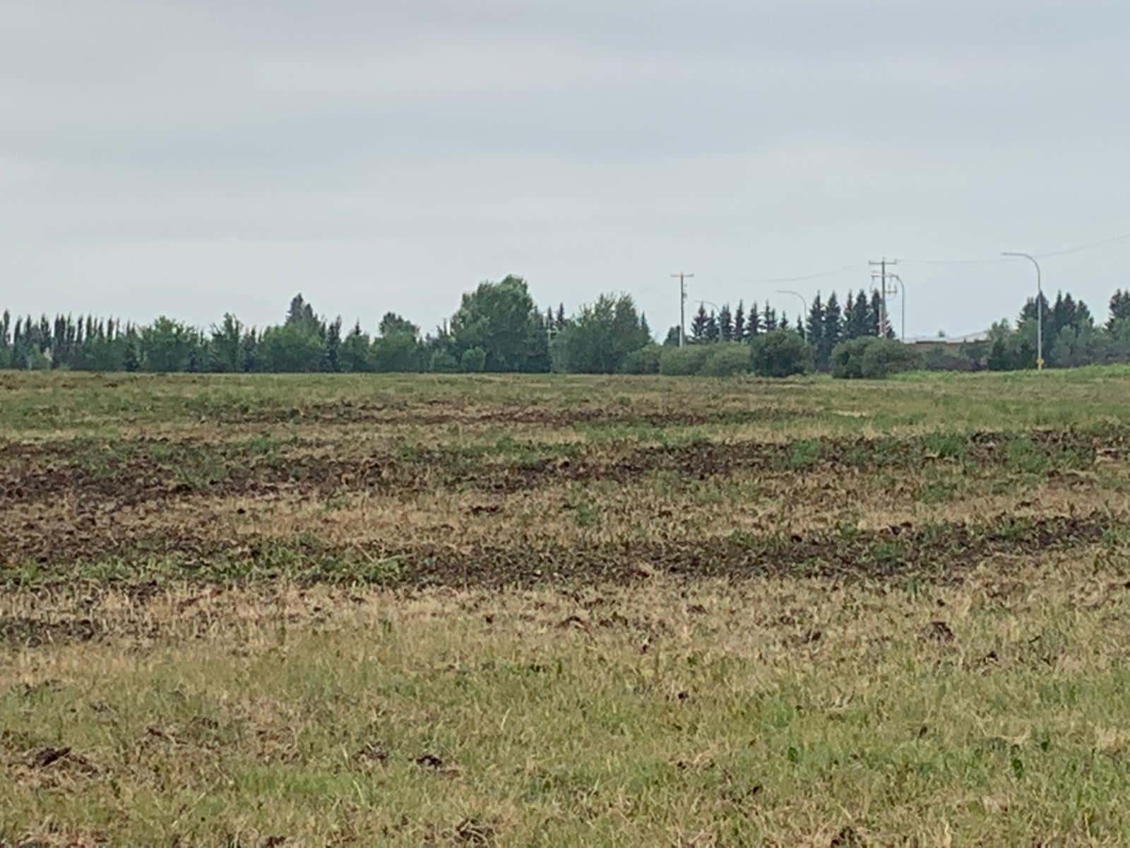 27525 79 Avenue — Stony Plain, Alberta - Photo 5 of 9