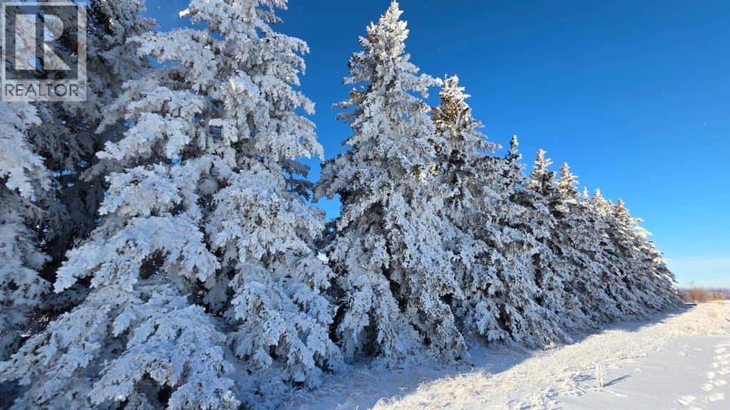 NW 19-38-26 W4 — Rural Red Deer County, Alberta - Photo 5 of 21