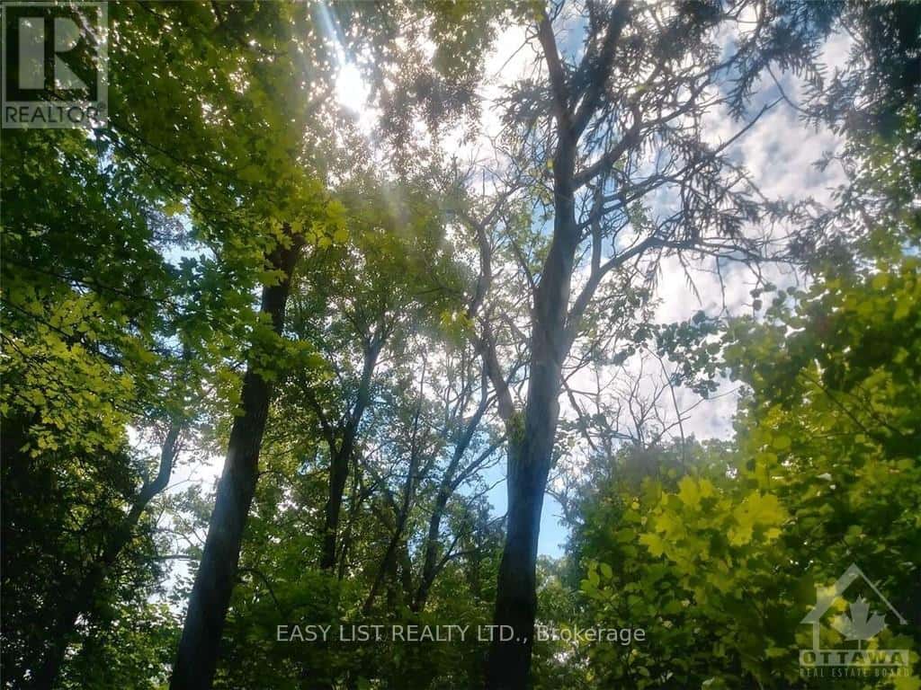 00 RIVER ROAD — McNab/Braeside, Ontario - Photo 2 of 13