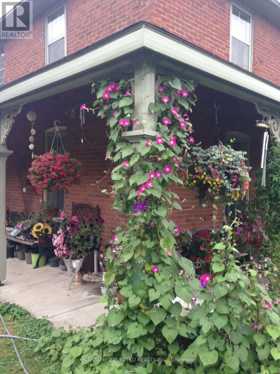 3756 BURNHAM STREET — Hamilton Township, Ontario - Photo 4 of 6