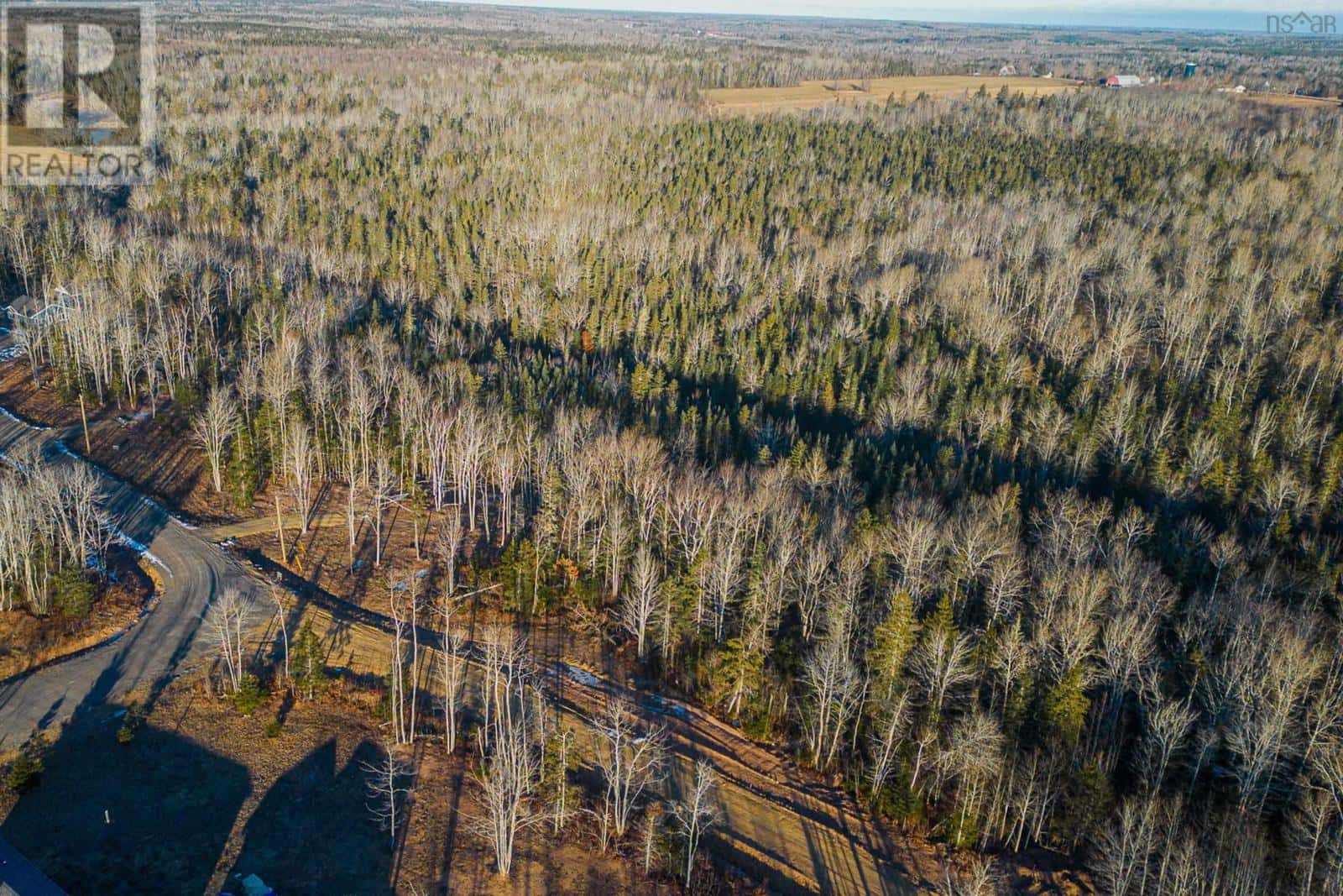 Lot 3 Cove Road — Oxford, Nova Scotia - Photo 3 of 14