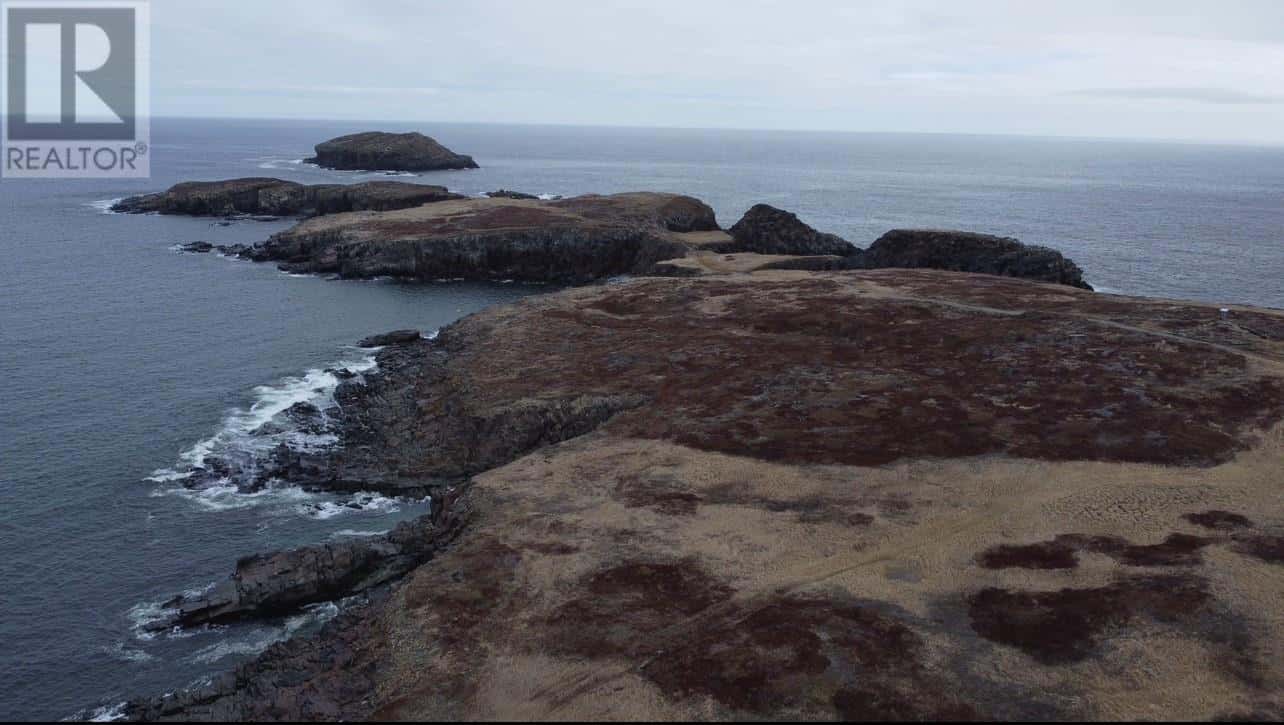 49-51 Maberly Road — Elliston, Newfoundland & Labrador - Photo 4 of 7