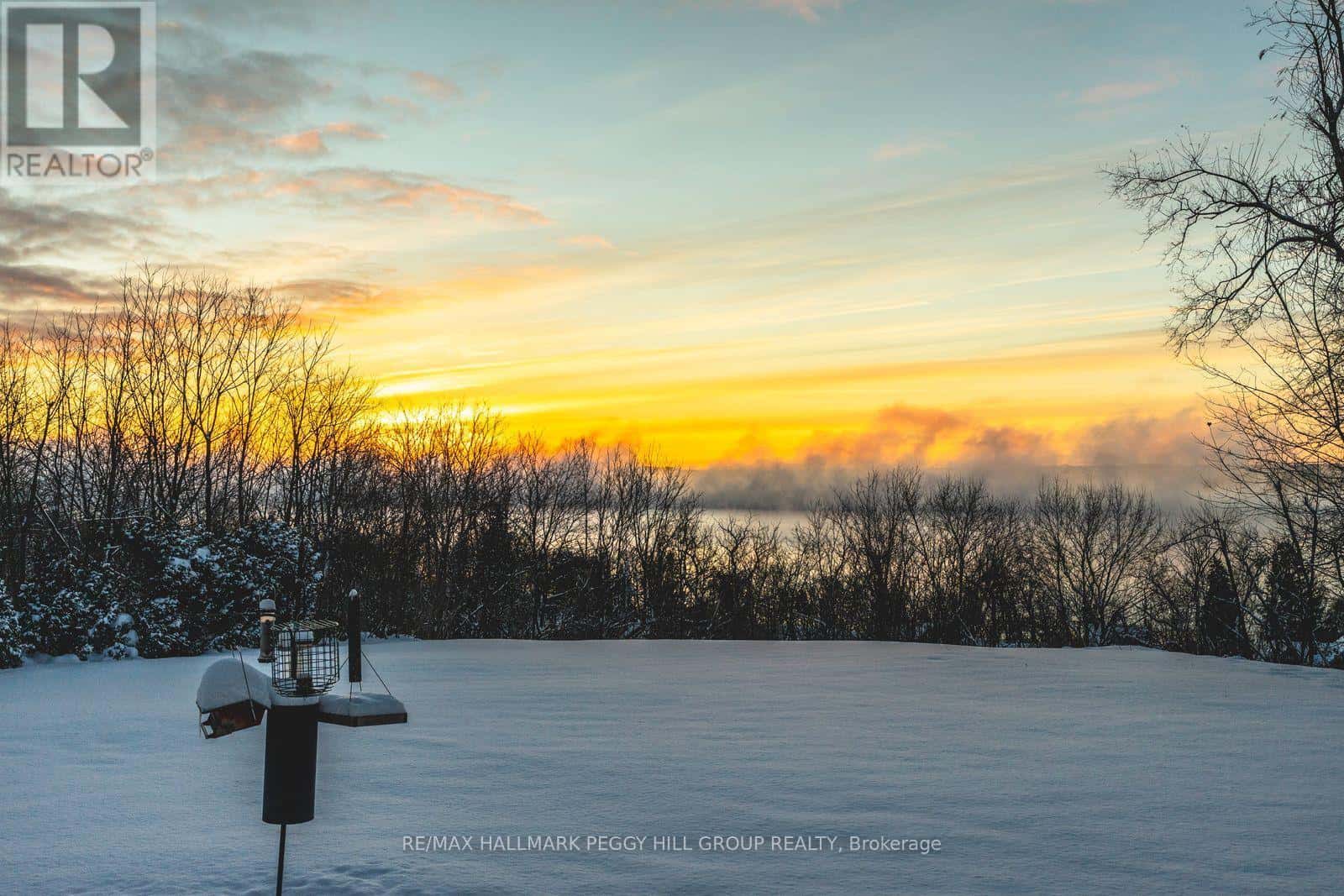 150 COLLINGWOOD STREET — Barrie (Codrington), Ontario - Photo 4 of 38