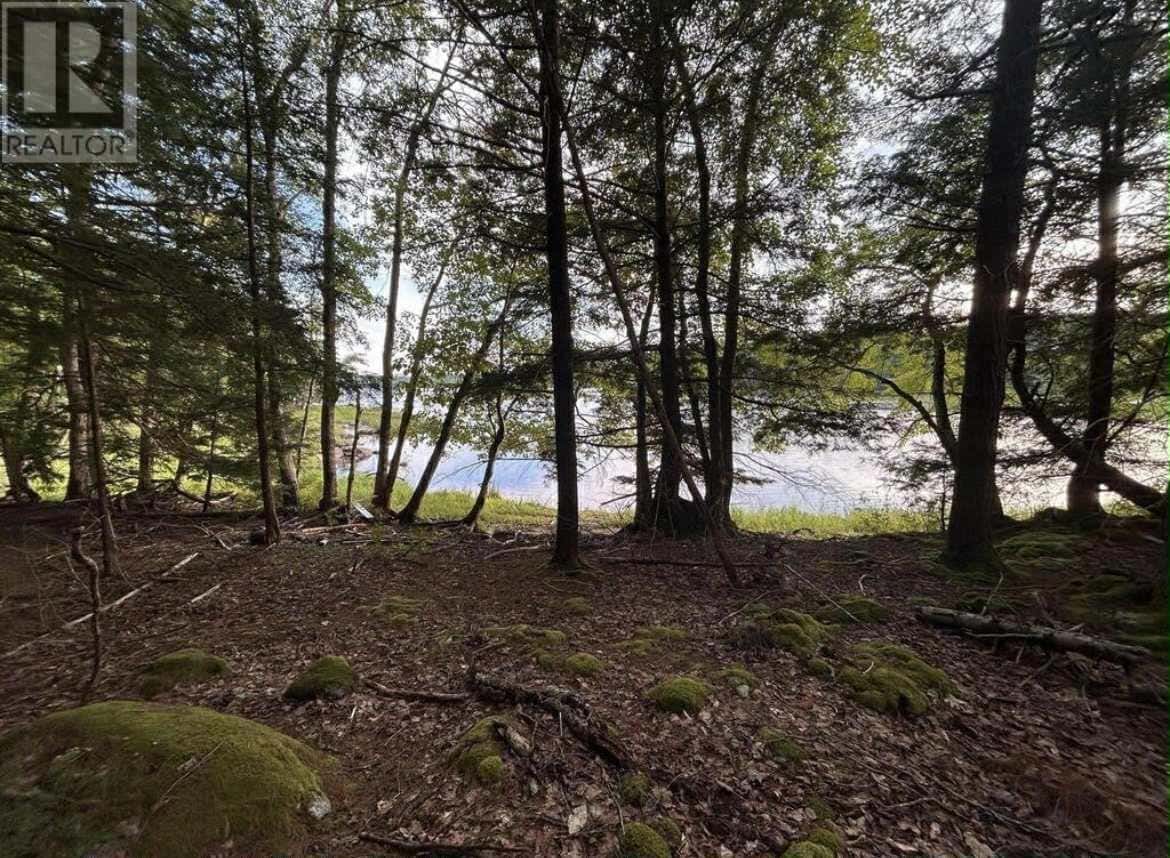 Lot 27 Maplesue Point Road — Molega, Nova Scotia - Photo 3 of 6