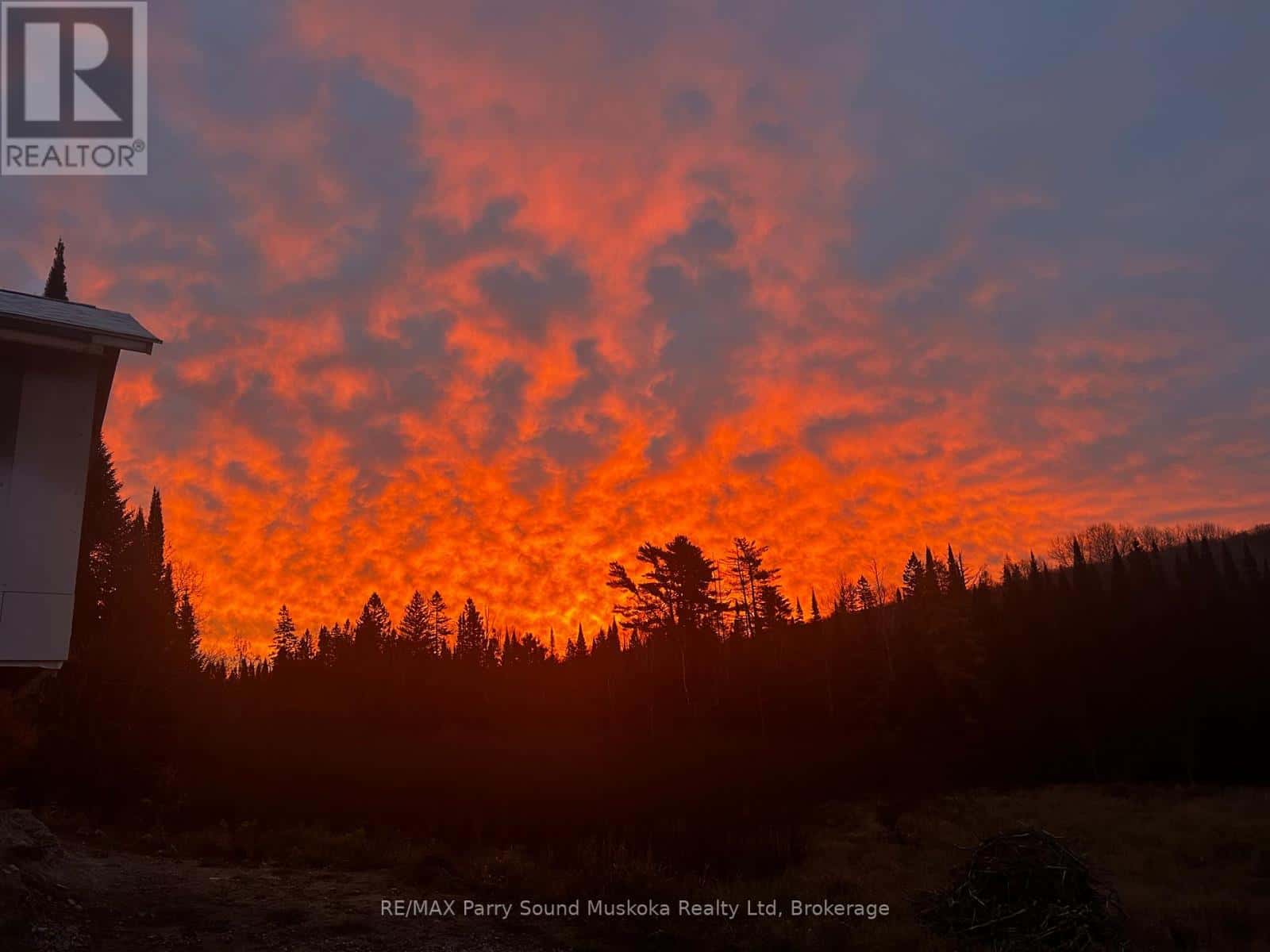 556 HIGHWAY 518 W — Perry, Ontario - Photo 4 of 32