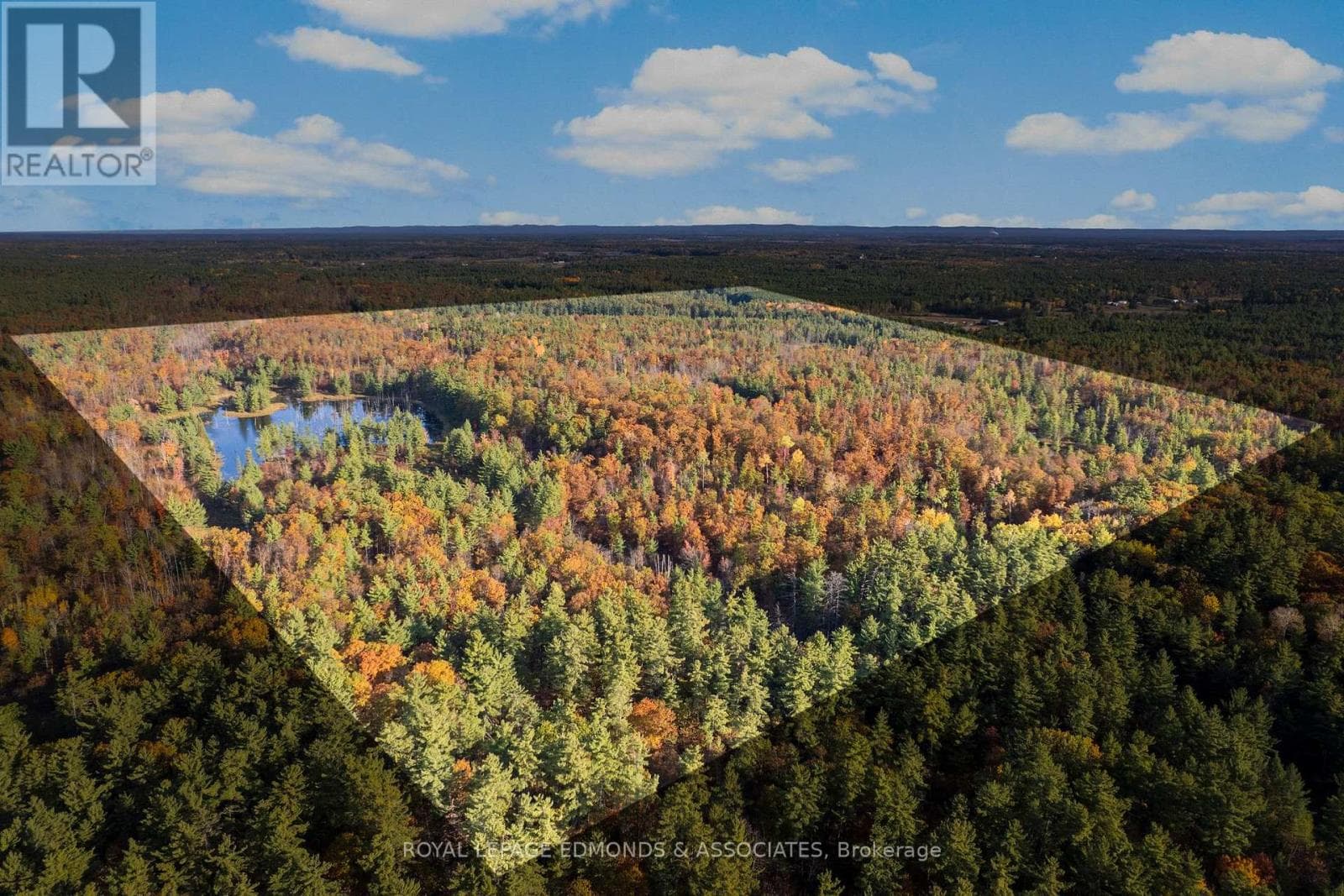 0 REICHE ROAD — North Algona Wilberforce, Ontario - Main photo