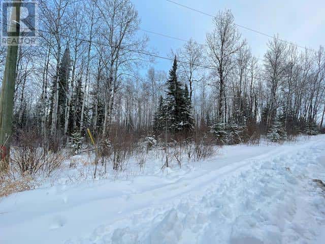 199 Lakeview RD — Dryden, Ontario - Photo 3 of 4