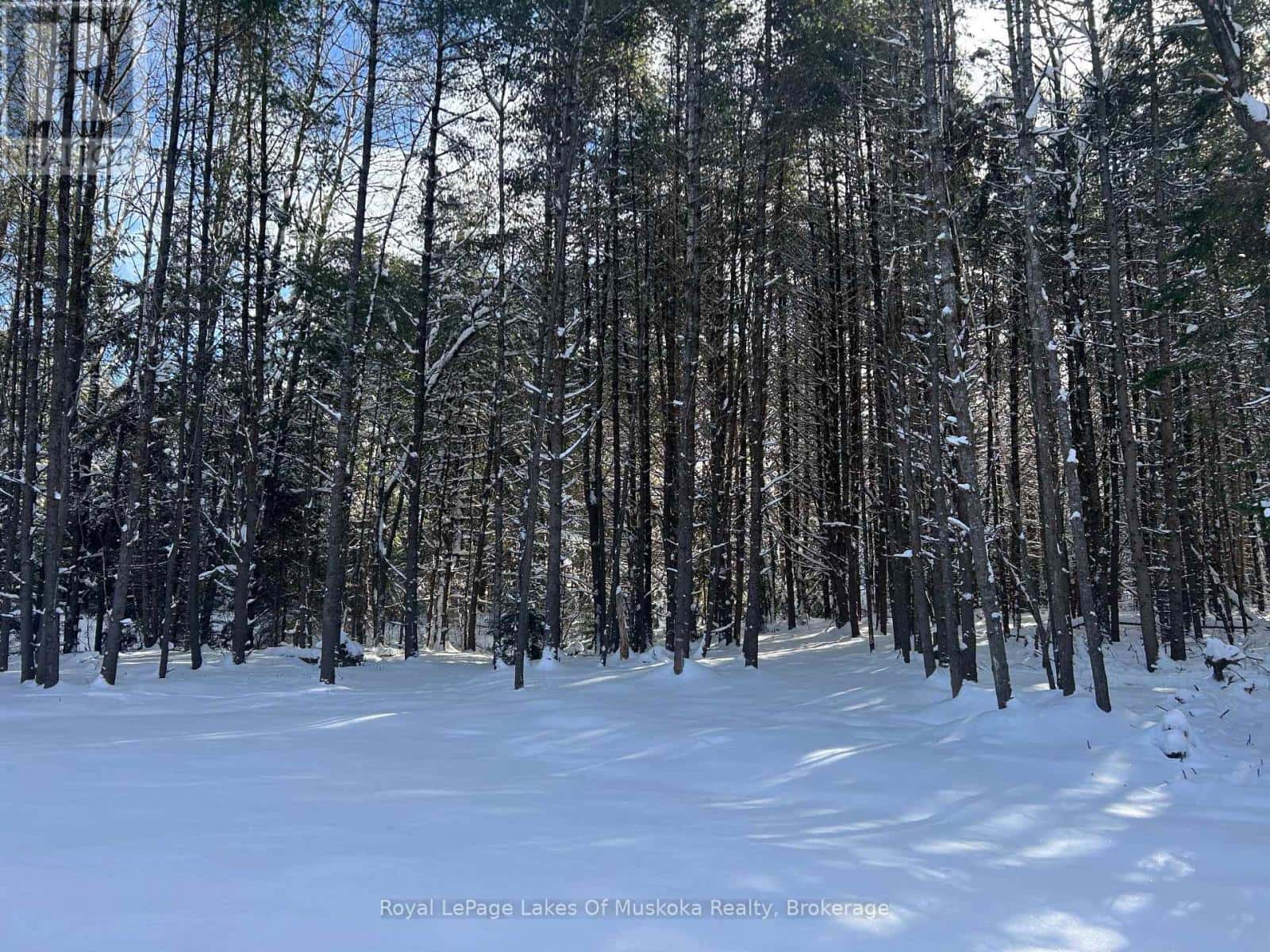 286 CLEARWATER LAKE ROAD — Huntsville (Stephenson), Ontario - Photo 4 of 22