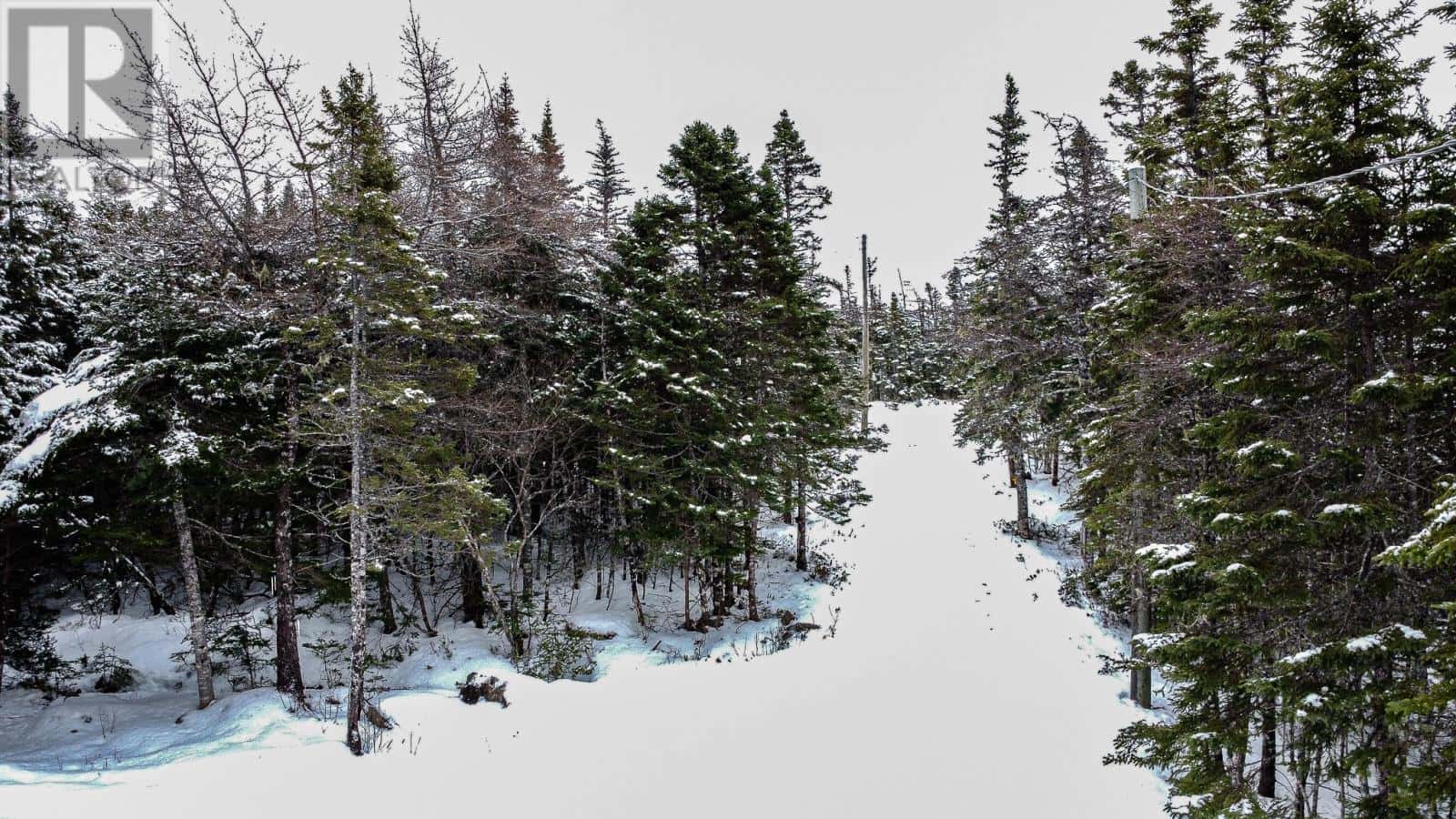 1 Stringer Street — Ocean Pond, Newfoundland & Labrador - Photo 5 of 27