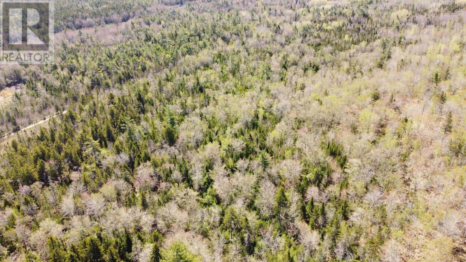 Highway 10 — Albany, Nova Scotia - Photo 4 of 12