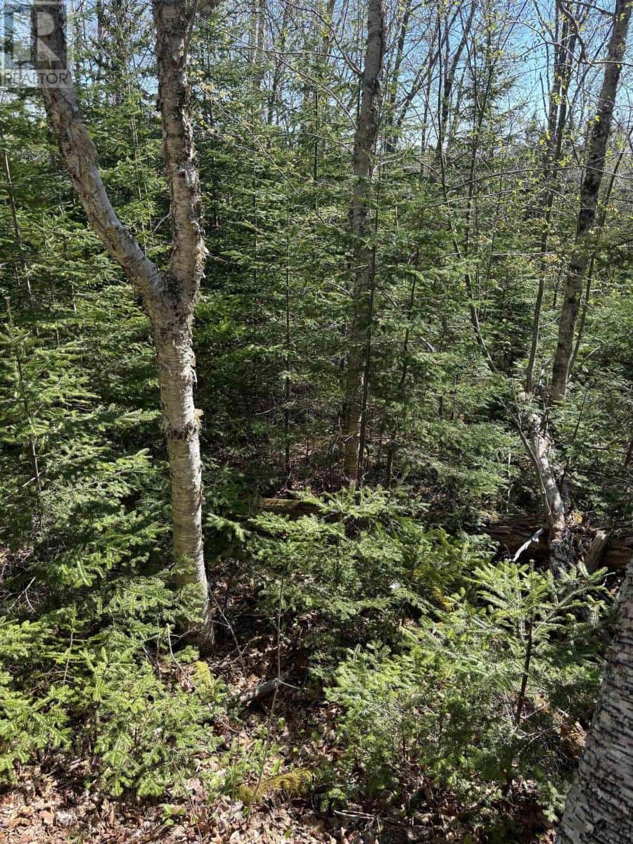 Highway 10 — Albany, Nova Scotia - Photo 5 of 12