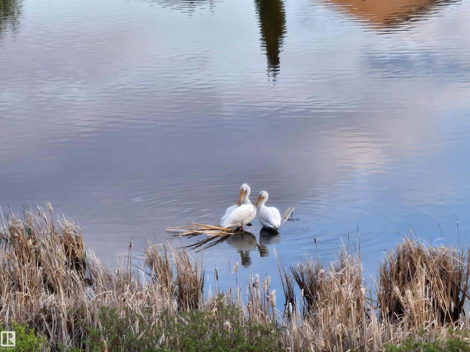 466 CHURCHILL CR — Sherwood Park, Alberta - Photo 5 of 50