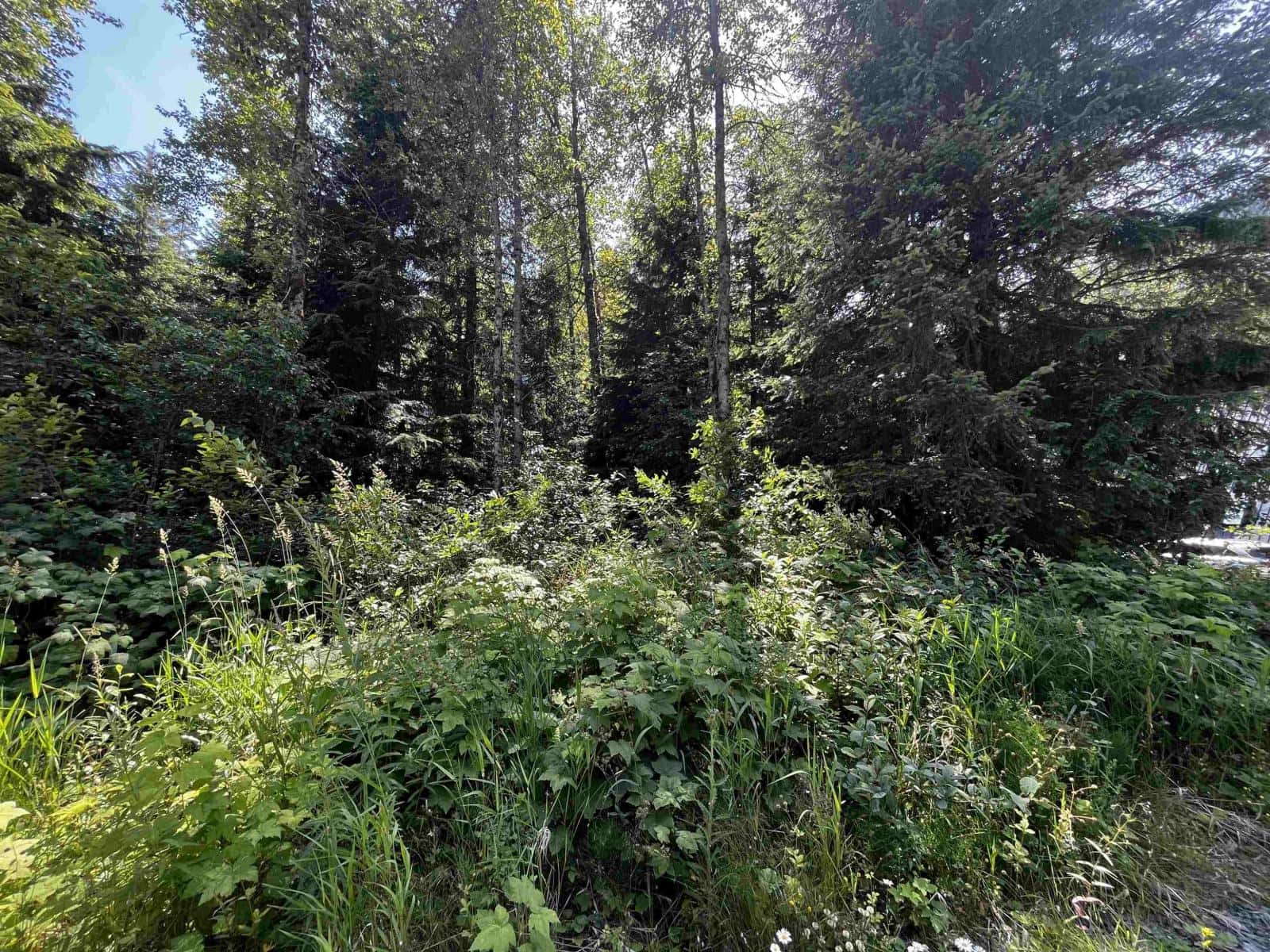 70901 OLD HOPE PRINCETON HIGHWAY, Sunshine Valley — Sunshine Valley, British Columbia - Photo 4 of 29