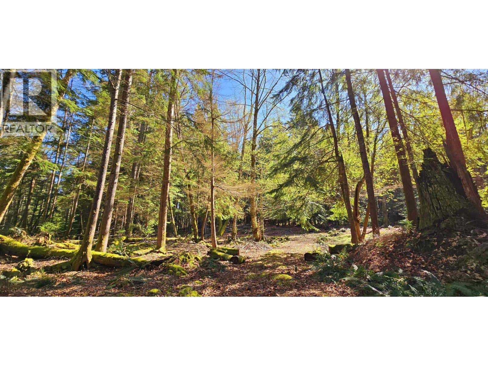 Lot 8 MOUNTAIN ROAD — Gambier Island, British Columbia - Photo 3 of 25