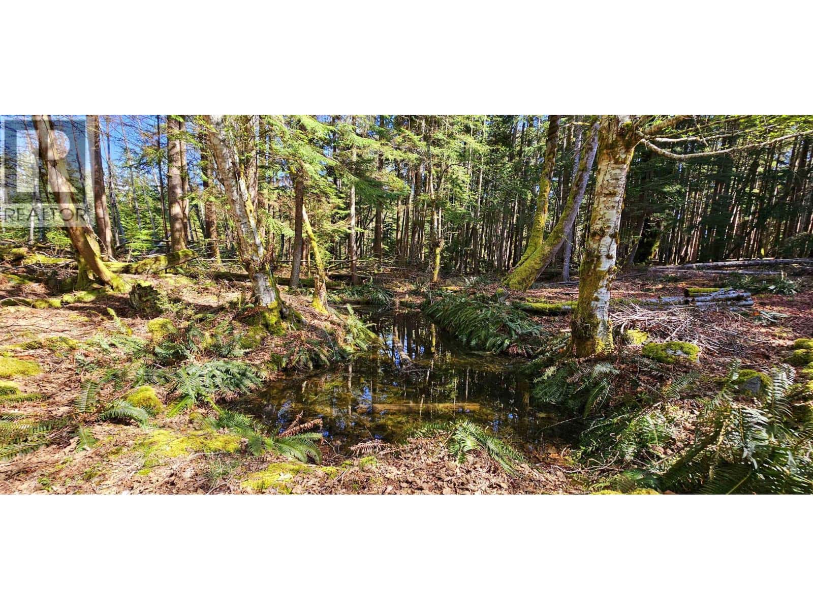 Lot 8 MOUNTAIN ROAD — Gambier Island, British Columbia - Photo 5 of 25