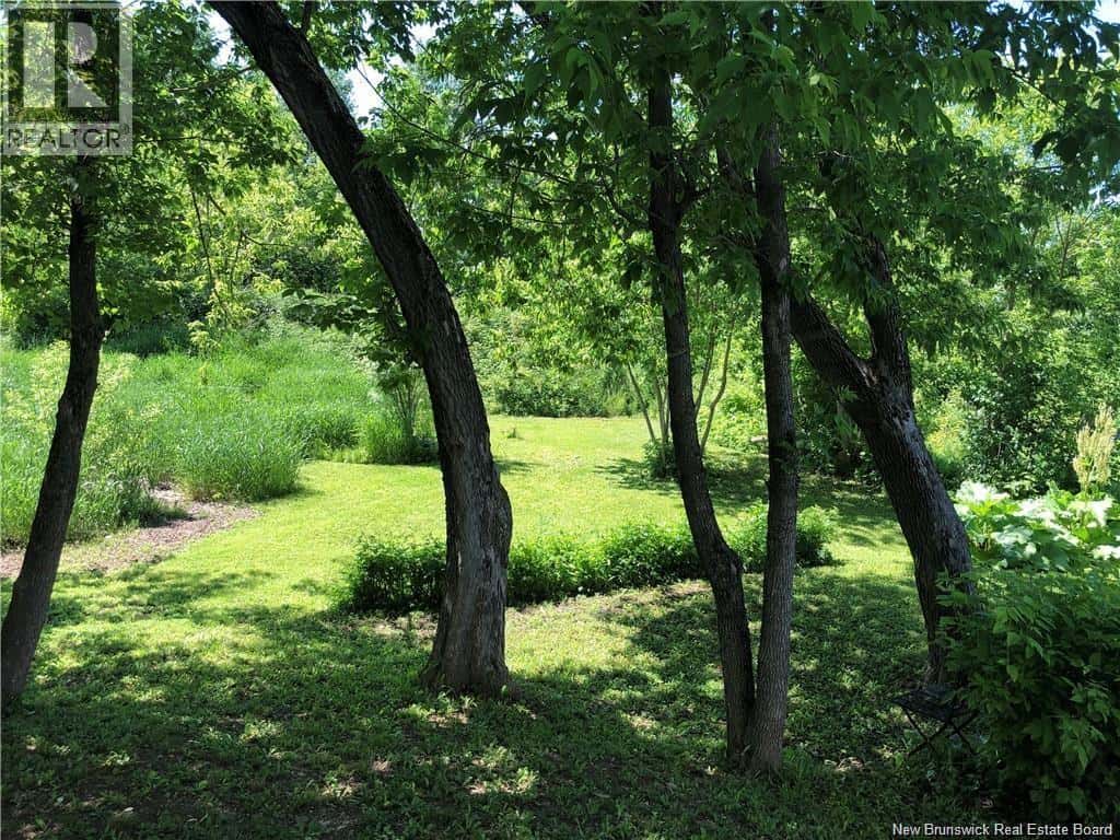 956 King Avenue — Bathurst, New Brunswick - Photo 4 of 20