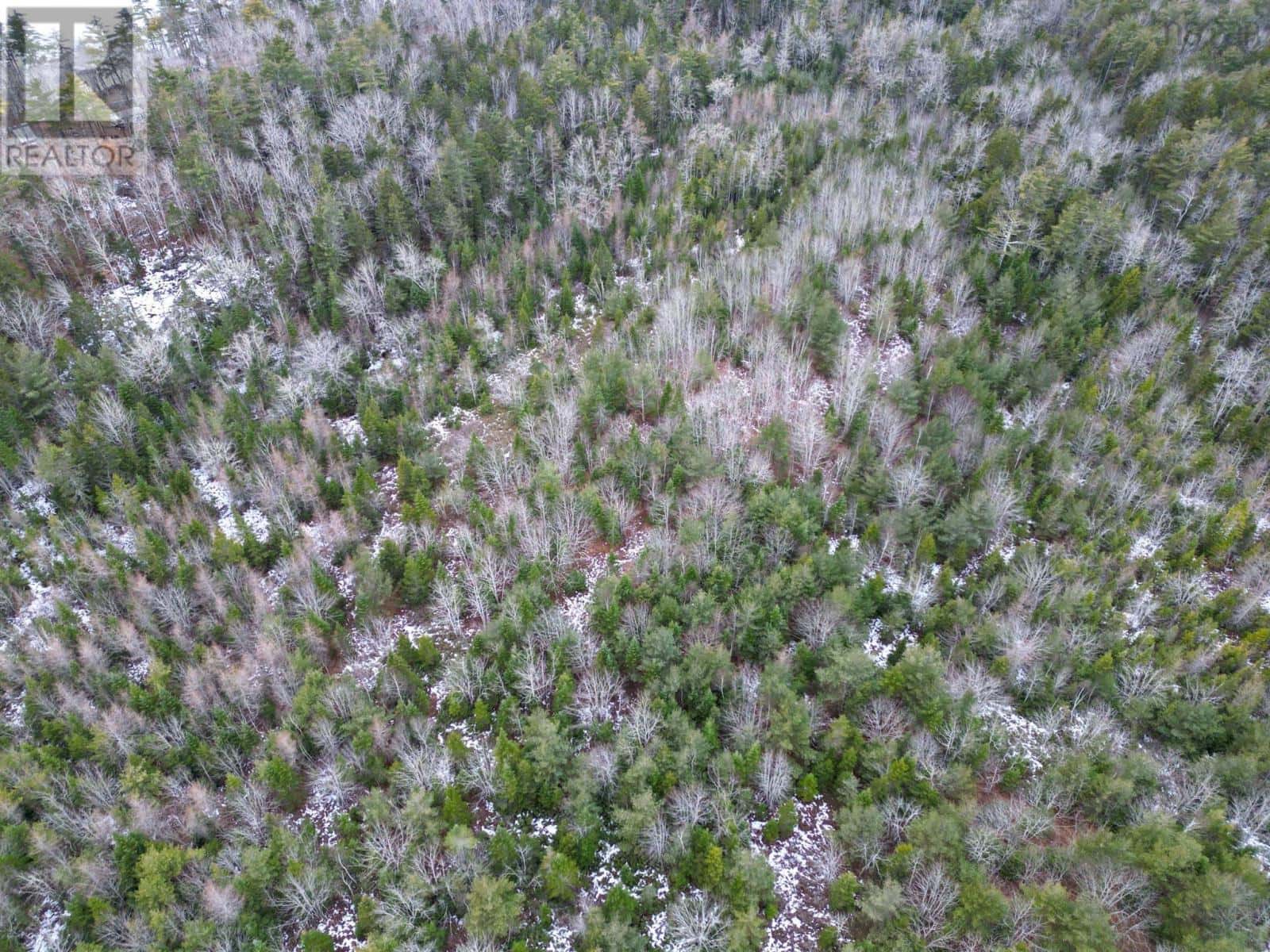 Lot 73 Judy Avenue — East Quinan, Nova Scotia - Photo 2 of 5