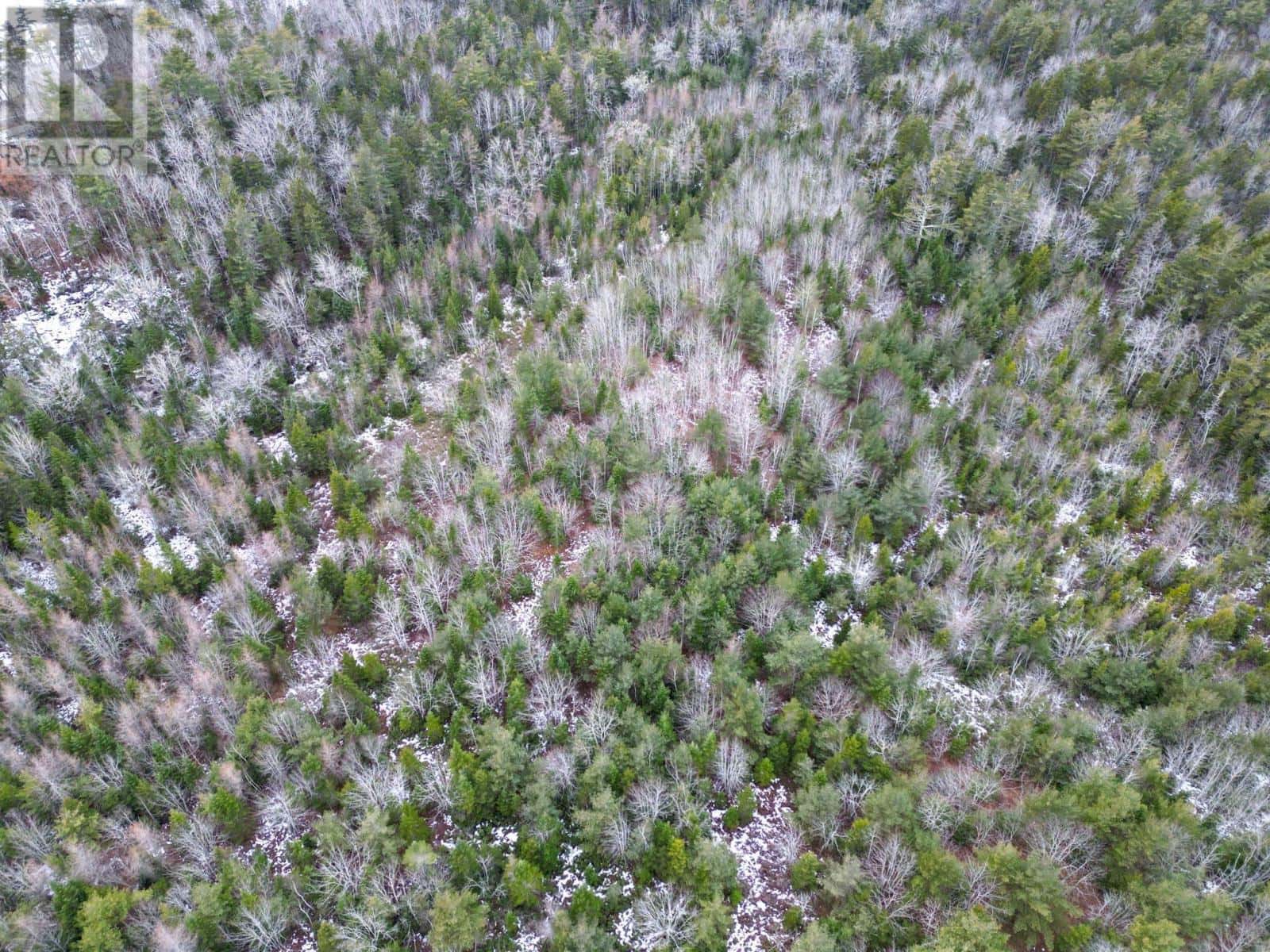 Lot 73 Judy Avenue — East Quinan, Nova Scotia - Photo 3 of 5