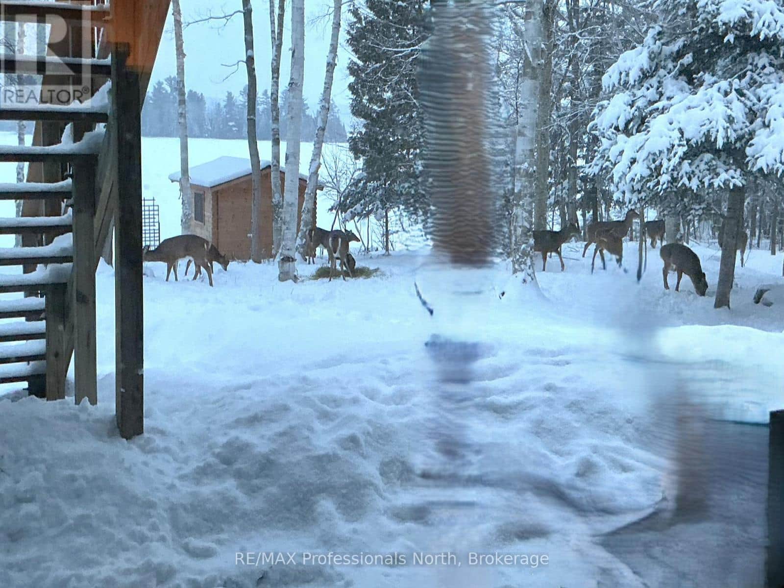 1173 SPRING LAKE ROAD - Photo 4 of 46, Parry Sound Remote Area (Lount), Ontario